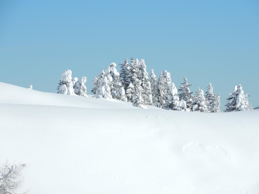 Albergo Eden Passo del Tonale Exteriör bild